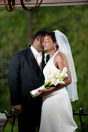 NLWedd-316